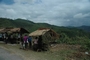 fruit stand
