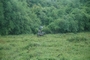 view from our hut...yes they are riding an ox