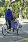 local transportation